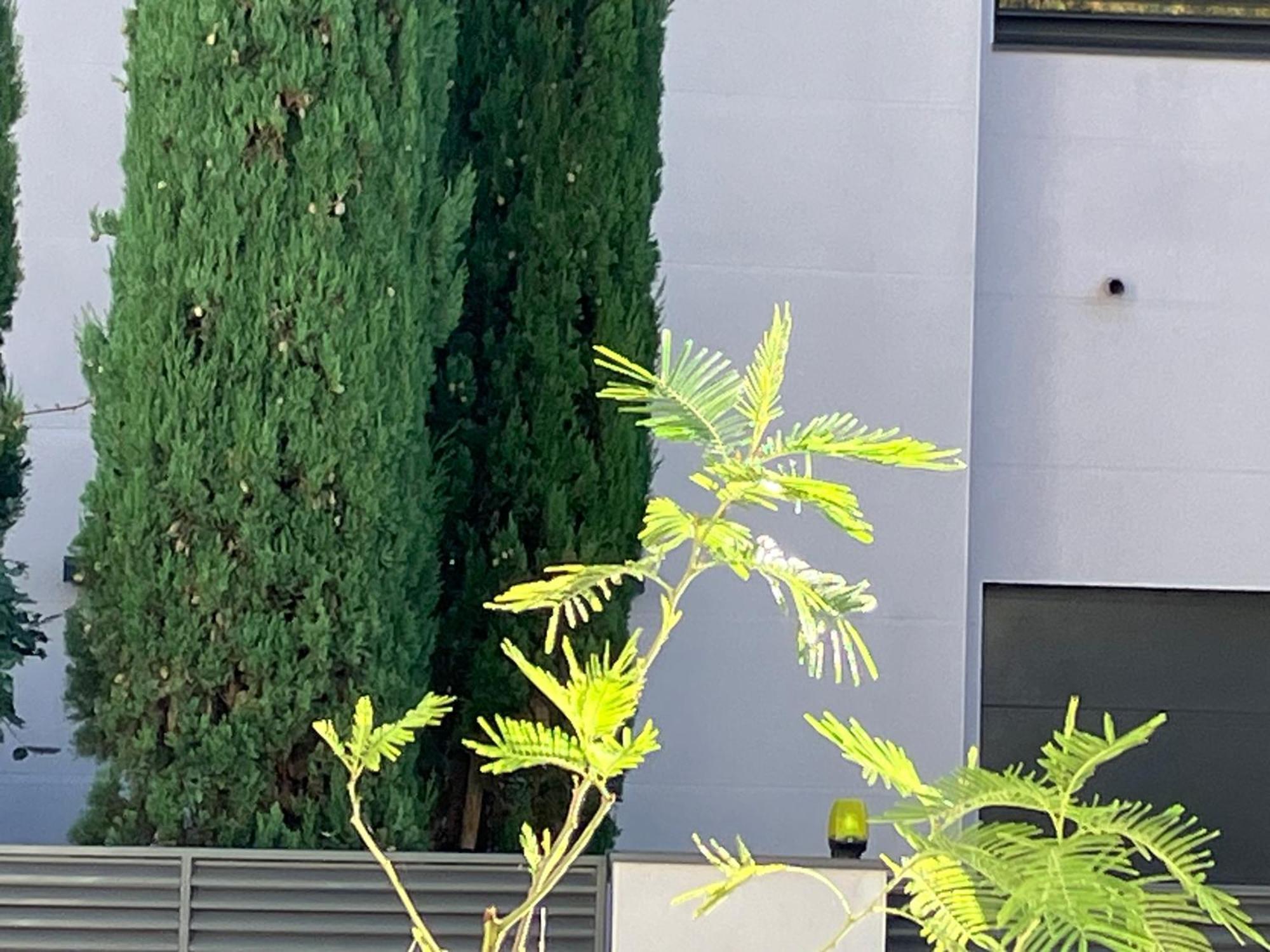 Toulousaine Arboree - Parking Public Toulouse Kültér fotó